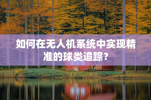 如何在无人机系统中实现精准的球类追踪？