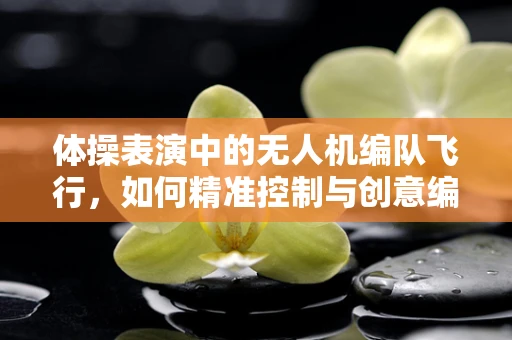 体操表演中的无人机编队飞行，如何精准控制与创意编排？