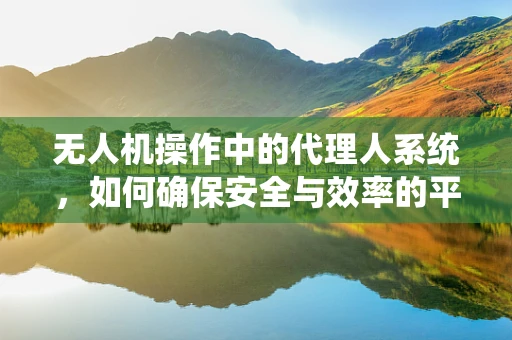 无人机操作中的代理人系统，如何确保安全与效率的平衡？
