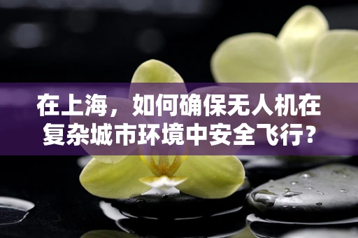 在上海，如何确保无人机在复杂城市环境中安全飞行？