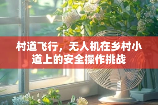 村道飞行，无人机在乡村小道上的安全操作挑战