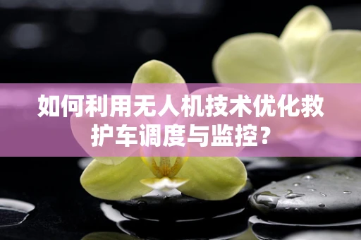 如何利用无人机技术优化救护车调度与监控？