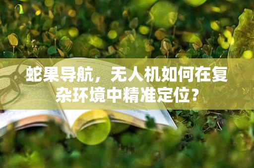 蛇果导航，无人机如何在复杂环境中精准定位？