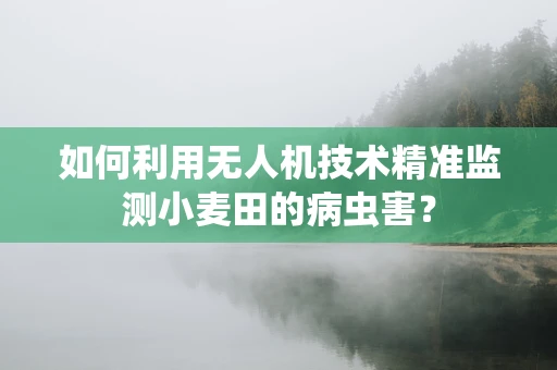 如何利用无人机技术精准监测小麦田的病虫害？