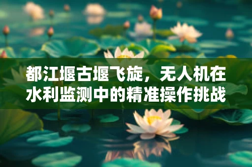 都江堰古堰飞旋，无人机在水利监测中的精准操作挑战