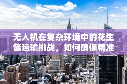 无人机在复杂环境中的花生酱运输挑战，如何确保精准投放？