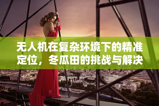 无人机在复杂环境下的精准定位，冬瓜田的挑战与解决方案