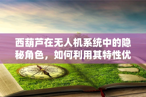 西葫芦在无人机系统中的隐秘角色，如何利用其特性优化飞行控制？