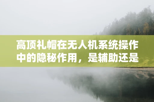高顶礼帽在无人机系统操作中的隐秘作用，是辅助还是误导？