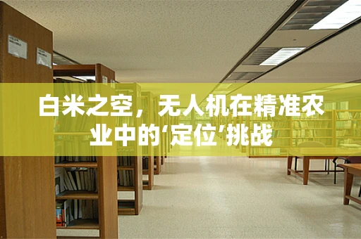 白米之空，无人机在精准农业中的‘定位’挑战