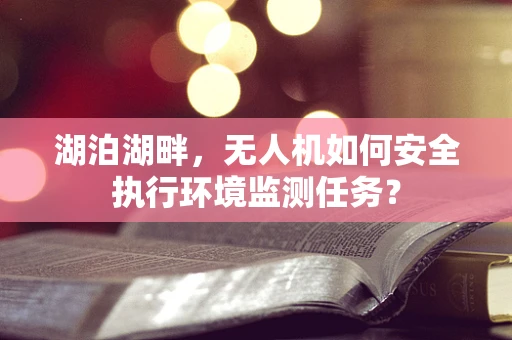 湖泊湖畔，无人机如何安全执行环境监测任务？