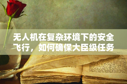 无人机在复杂环境下的安全飞行，如何确保大臣级任务的精准执行？