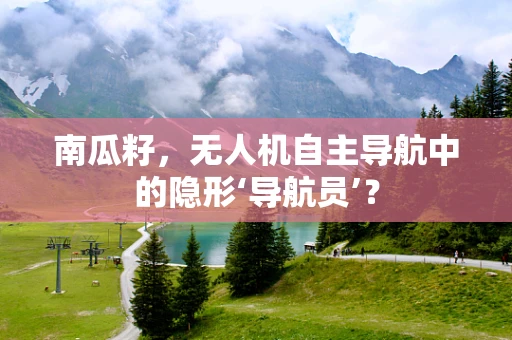 南瓜籽，无人机自主导航中的隐形‘导航员’？