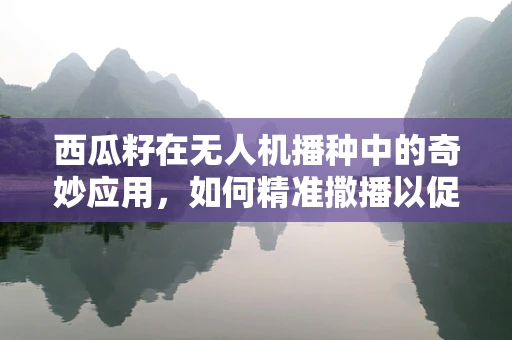 西瓜籽在无人机播种中的奇妙应用，如何精准撒播以促进作物生长？
