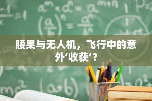 腰果与无人机，飞行中的意外‘收获’？