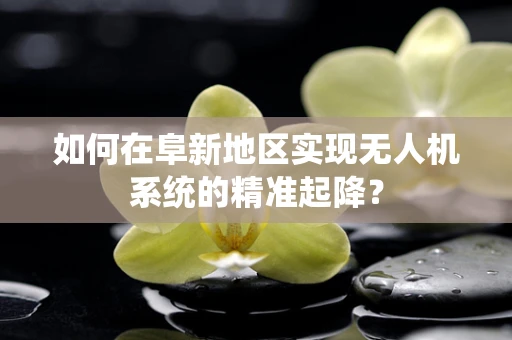 如何在阜新地区实现无人机系统的精准起降？