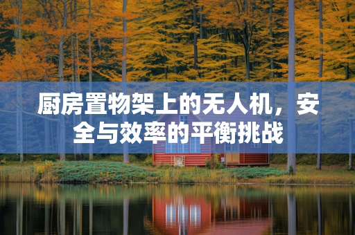 厨房置物架上的无人机，安全与效率的平衡挑战