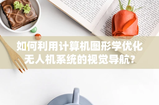 如何利用计算机图形学优化无人机系统的视觉导航？