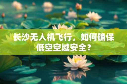 长沙无人机飞行，如何确保低空空域安全？