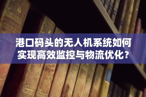 港口码头的无人机系统如何实现高效监控与物流优化？