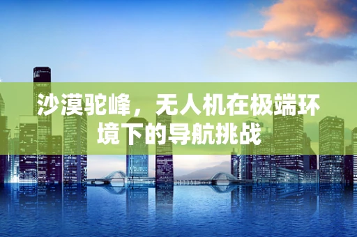 沙漠驼峰，无人机在极端环境下的导航挑战