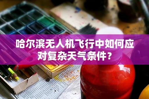 哈尔滨无人机飞行中如何应对复杂天气条件？