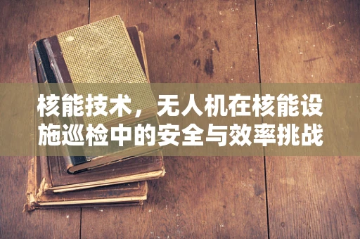 核能技术，无人机在核能设施巡检中的安全与效率挑战