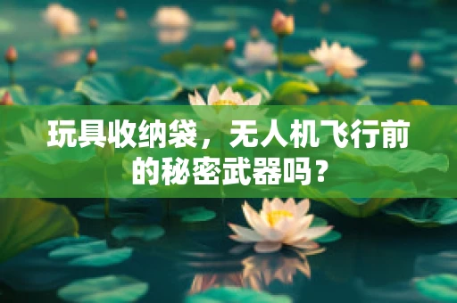 玩具收纳袋，无人机飞行前的秘密武器吗？