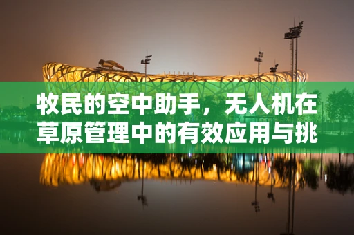 牧民的空中助手，无人机在草原管理中的有效应用与挑战