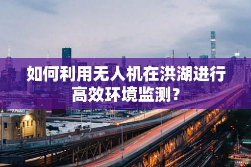 如何利用无人机在洪湖进行高效环境监测？