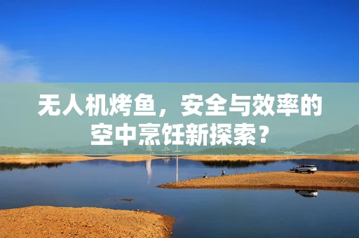 无人机烤鱼，安全与效率的空中烹饪新探索？