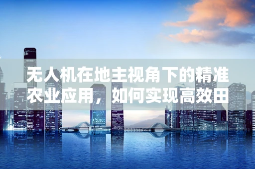 无人机在地主视角下的精准农业应用，如何实现高效田地监测？