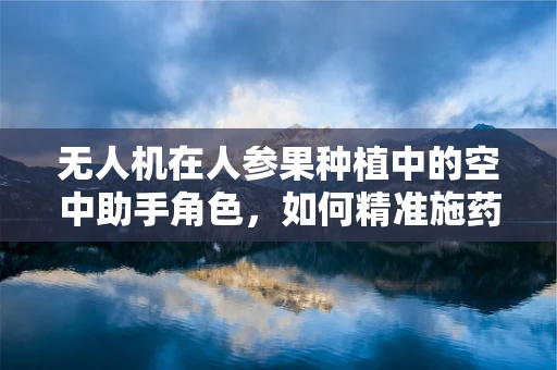 无人机在人参果种植中的空中助手角色，如何精准施药？