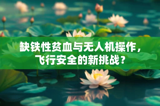 缺铁性贫血与无人机操作，飞行安全的新挑战？