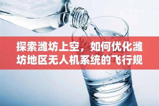 探索潍坊上空，如何优化潍坊地区无人机系统的飞行规划？