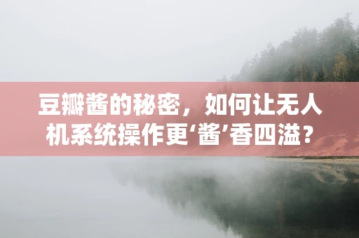 豆瓣酱的秘密，如何让无人机系统操作更‘酱’香四溢？