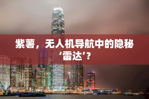 紫薯，无人机导航中的隐秘‘雷达’？