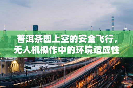 普洱茶园上空的安全飞行，无人机操作中的环境适应性挑战