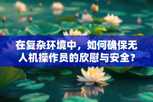 在复杂环境中，如何确保无人机操作员的欣慰与安全？