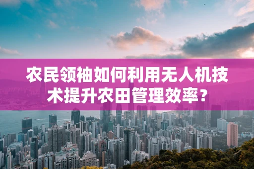 农民领袖如何利用无人机技术提升农田管理效率？