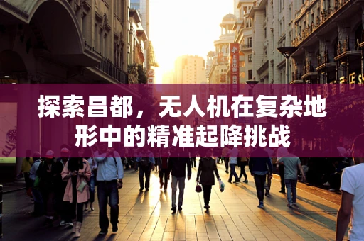 探索昌都，无人机在复杂地形中的精准起降挑战