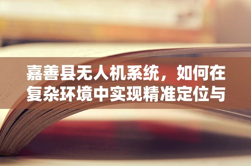 嘉善县无人机系统，如何在复杂环境中实现精准定位与避障？