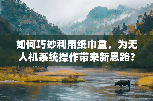 如何巧妙利用纸巾盒，为无人机系统操作带来新思路？