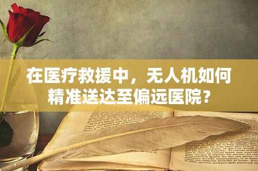 在医疗救援中，无人机如何精准送达至偏远医院？