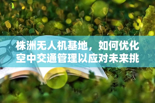 株洲无人机基地，如何优化空中交通管理以应对未来挑战？