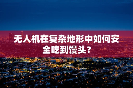 无人机在复杂地形中如何安全吃到馒头？