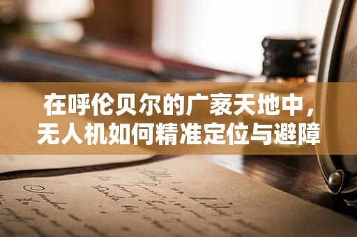 在呼伦贝尔的广袤天地中，无人机如何精准定位与避障？