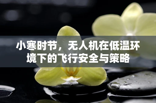 小寒时节，无人机在低温环境下的飞行安全与策略