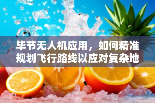 毕节无人机应用，如何精准规划飞行路线以应对复杂地形挑战？