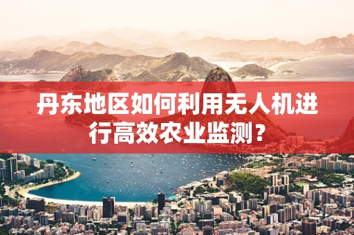 丹东地区如何利用无人机进行高效农业监测？